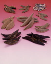 Dried Fishes